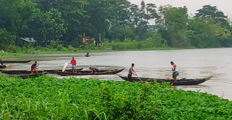 Read more about the article প্রাকৃতিক বিপর্যয়ের কারনেই পুরোদমে ডিম ছাড়েনি মা মাছ’